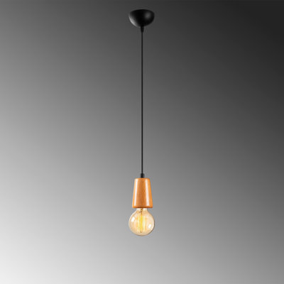 1 - Light Black/Copper Single Pendant