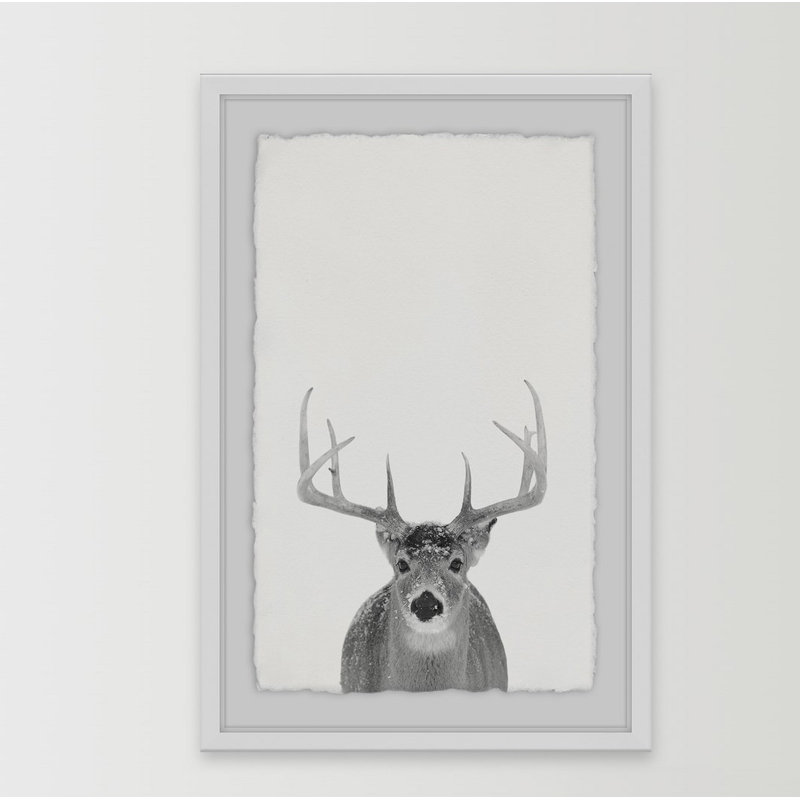 Grey Deer - Single Picture Frame Print, 46 cm H x 30 cm W