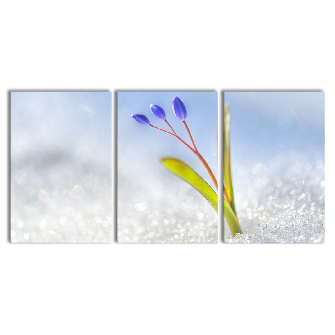 3-tlg. Leinwandbilder-Set Blaue Knospen im Schnee