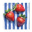Art mural sur toile tendue - «Bire Tissu Berries» de Kate Jarvik, art mural pour salon, chambre à coucher ou bureau - 35 x 35