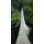 Suspended Bridge In The Forest Print On Canvas-98694216