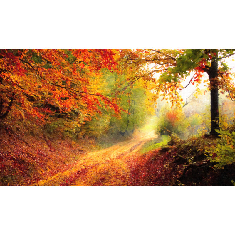 Autumn Forest Edge II Print by Denise Dundon, 17.25" H x 21.25" W