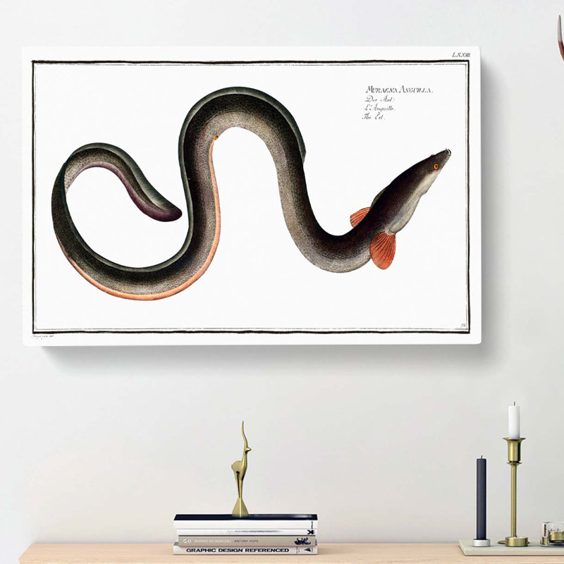 Eel by M.E. Bloch - Wrapped Canvas, 50cm H x 76cm W x 3cm D