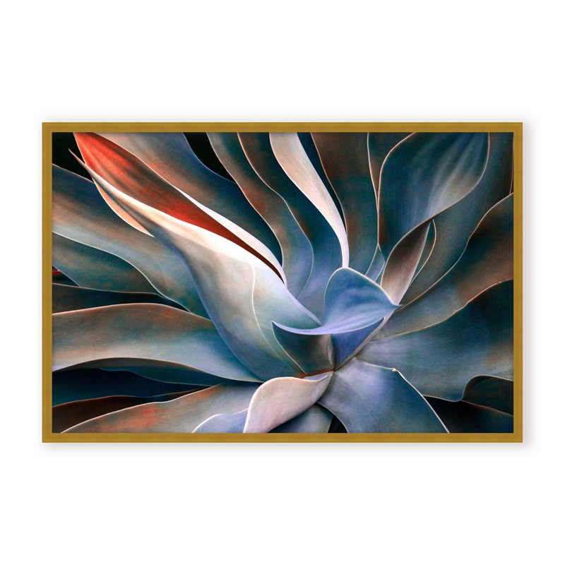 Nature Inspired The Colors in Leaves by  - Picture Frame Graphic Art on Paper, 32" H x 48" W x 1.125" D, Black