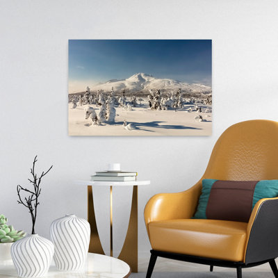Deep Snow Blankets The Taiga Near Tahneta Pass Alaska by Ray Bulson - Wrapped Canvas Print