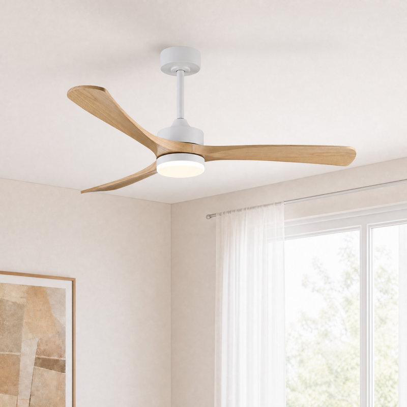 Ventilateur de plafond 52 po à intensité variable Modern Farmhouse avec lumières DEL et télécommande