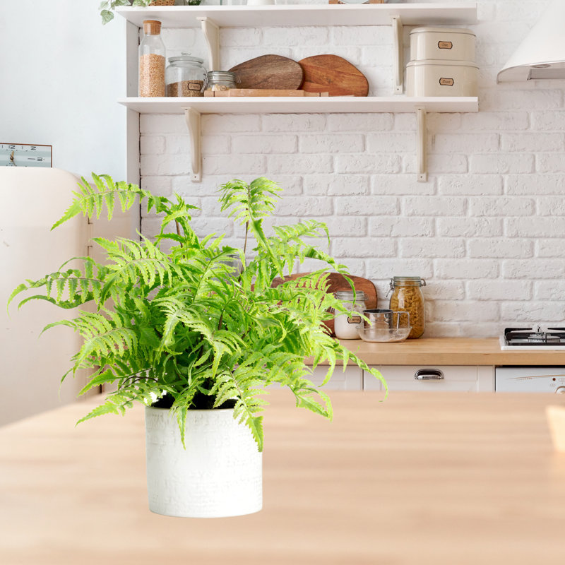 Faux Fern Plant in Ceramic Planter