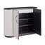 Lanette 51.5'' W Accent Cabinet