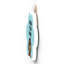 Gruia Wall Decor