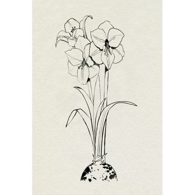 " Christmas Amaryllis II " by Grace Popp