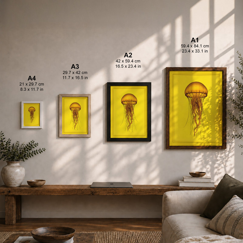 Drifting Jellyfish Botanical - Print, A1 - 84.1 x 59.4 cm, Black