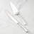 2-Piece Dessert Set, 2 Count, Metallic