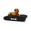 Lit pour chien Doggiel pourquoi-9974046-9974045