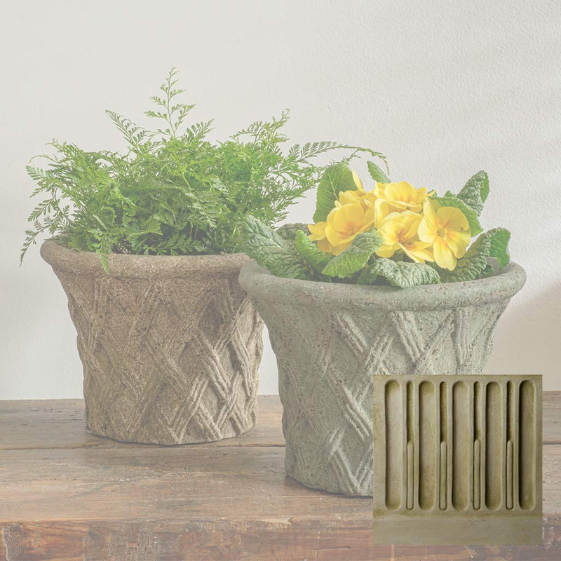 Pot à fleurs en béton antique, Mousse anglaise