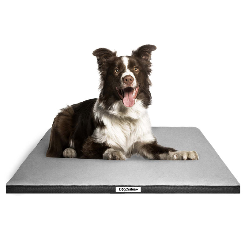 Emma Pet Crate