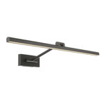 Reed Hardwired Dimmable LED Wall Mounted Picture Light, 3000K