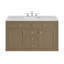 Chicago 48'' W Single Vanity-884161353-884161354