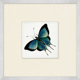 Miniature Butterfly Collection 11 Print