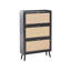 12 Pair Shoe Storage Cabinet