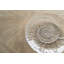 Shell Platter