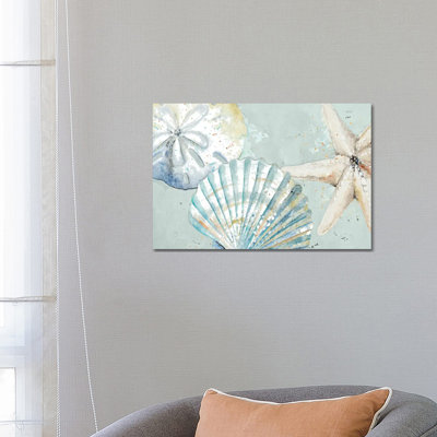 Beach Shells- Gallery-Wrapped Canvas Giclée