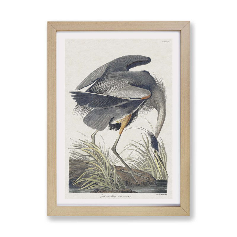 Great Blue Heron by John Audubon - Single Picture Frame Painting, 24cm H x 33cm W x 2cm D, Oak