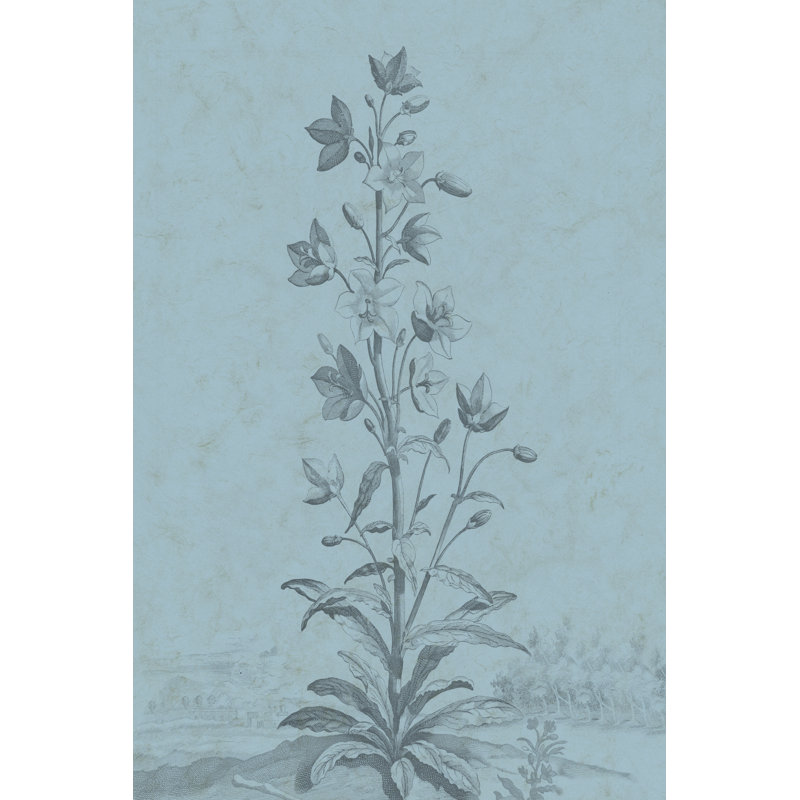 Botanical On Teal II - Wrapped Canvas Print, 46cm H x 30cm W x 3.8cm D