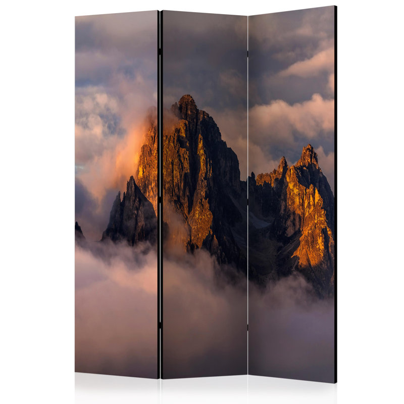 Madteos 172cm H Solid Wood Folding Room Divider, 3