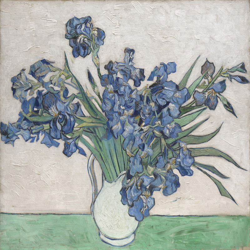 Irises II 1 Piece Painting on Canvas, 102cm H x 102cm W x 4cm D