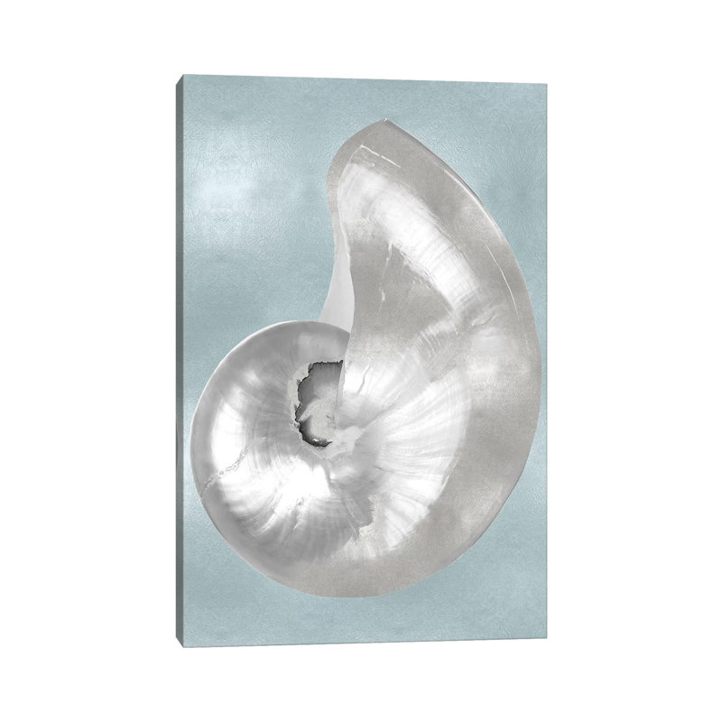 Silver Shell On Aqua Blue I by Caroline Kelly - Wrapped Canvas Gallery-Wrapped Canvas Giclée