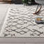 Lollar Geometric Polypropylene Rug-2021570679