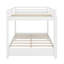 Queen Size Bunk Bed With Ladder-784840609