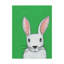 « animal portraits i », art sur toile-33522546