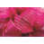 Fuchsia est en rupture de stock