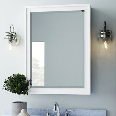 Charley Surface Mount Framed Medicine Cabinet with 3 Shelves