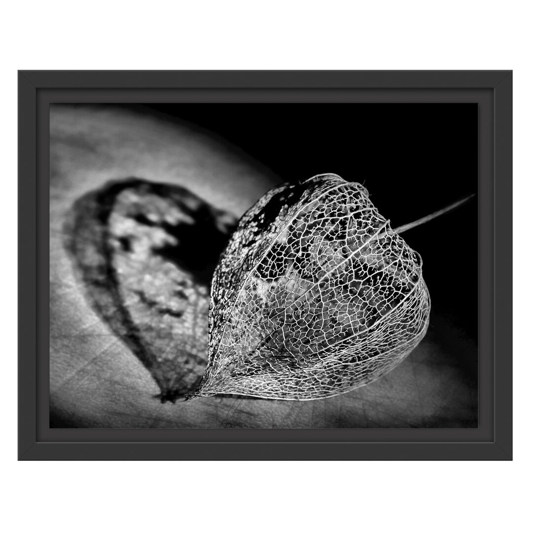 Gerahmtes Wandbild Schatten einer Physalis