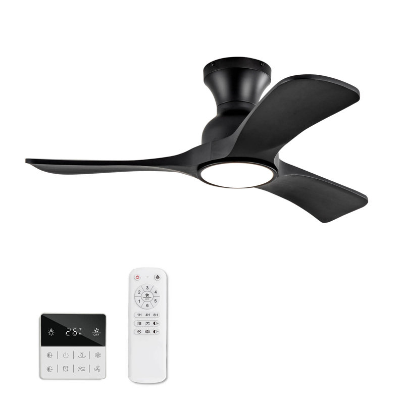 Ventilateurs de plafond avec lumières, Noir, Noir