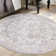 Singleton Oriental Indoor Rug