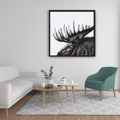 " Moose Plume "