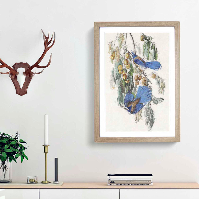 Florida Jay by John Audubon - Framed Print, 48cm H x 36cm W x 2cm D, Oak Framed