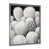 Silver Single Picture Framed selected