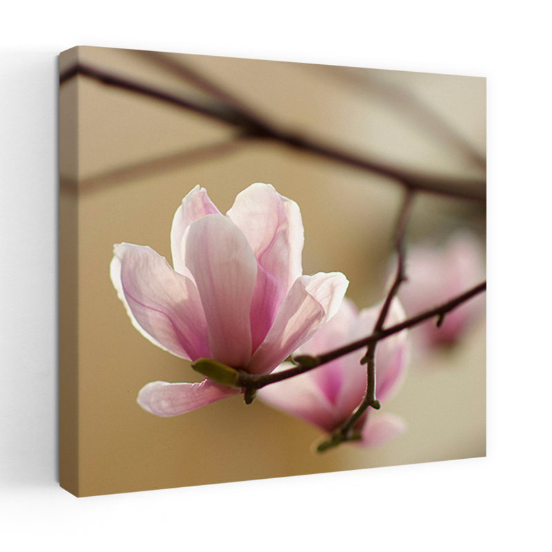 Tulipier 1, art floral contemporain, H 18 po x l 18 po
