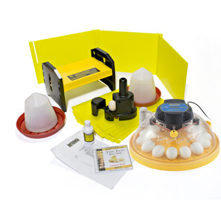 Incubateur à oeuf à 14 poules maxi ii