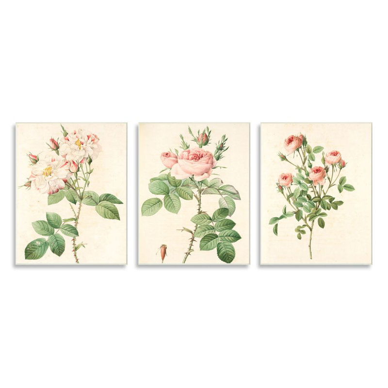 Reproduction d’art graphique sur toile, "rose rose" avec détails de tiges florales, H 15 po x l 10 po x P 0,5 po