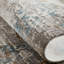 Kher Oriental Area Rug in Gray-381822534