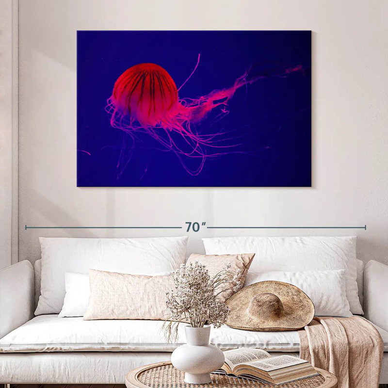 Crowle Red Medusa Jellyfish