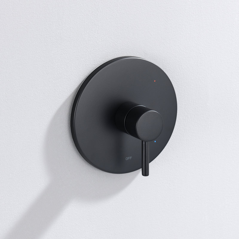 Single Handle 1-Spray Shower Faucet with Valve, Matte Black
