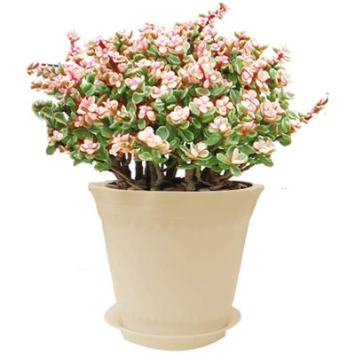 Audry Metal Pot Planter with Trellis