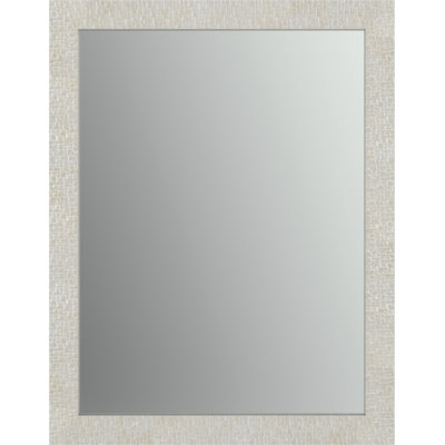 Delta Rectangular Standard Flush Mount Framed Glass Bathroom/Vanity Mirror