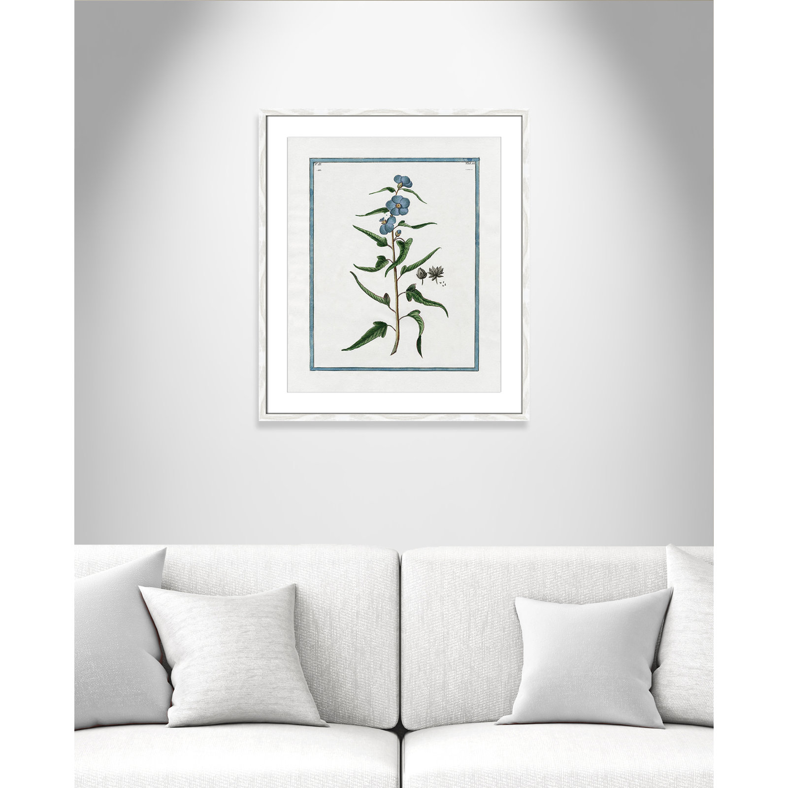 Colombe "Shabby Elegance Botanical I" Print, 21.5" W x 25.5" H, White Framed